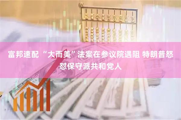 富邦速配 “大而美”法案在参议院遇阻 特朗普怒怼保守派共和党人