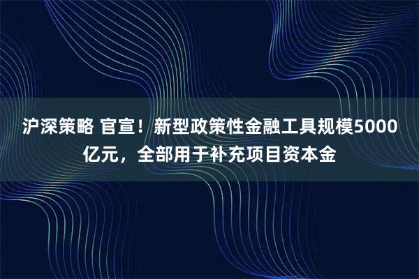 沪深策略 官宣！新型政策性金融工具规模5000亿元，全部用于补充项目资本金