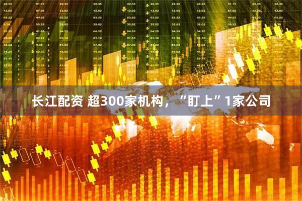 长江配资 超300家机构，“盯上”1家公司