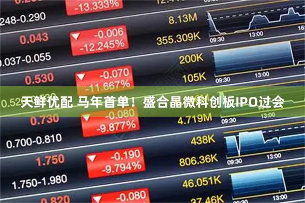 天鲜优配 马年首单！盛合晶微科创板IPO过会